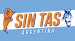 bandera-argentina-sintas