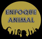 enfoque