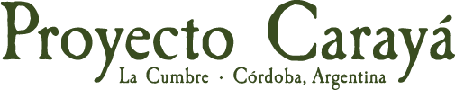 pc_logo_sub_green@2x (1)